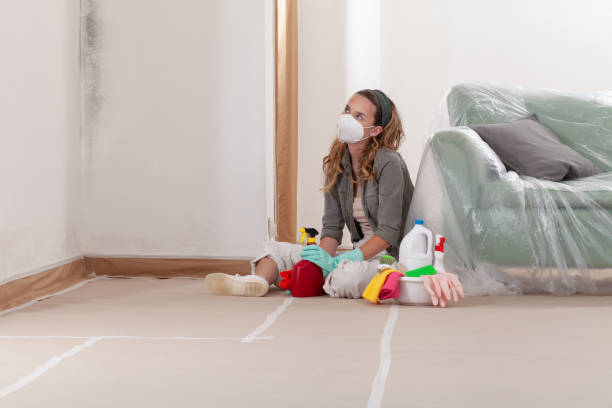 Reliable Black Mold Remediation contractor in Finksburg, MD by 24 Hour Mold Removal