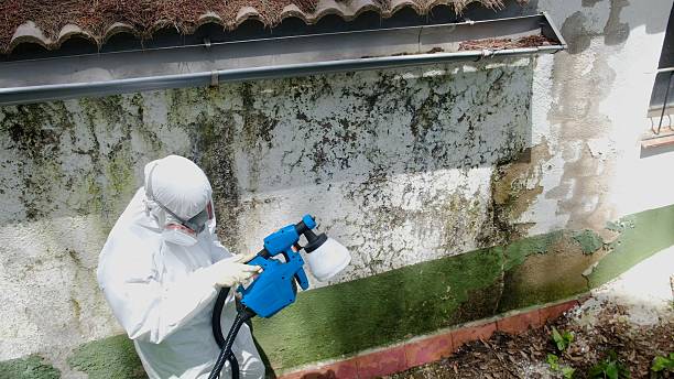 Top rated local Black Mold Remediation specialists in Finksburg, MD